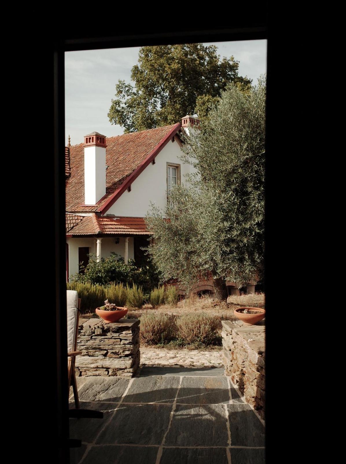 Quinta Vila Rachel - Winery Sao Mamede de Ribatua Exterior photo